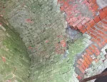 Биологическое повреждение кладки